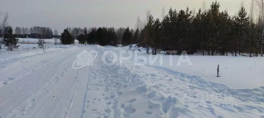 Участок в Тюменская область, Нижнетавдинский район, с. Тюнево  (7.0 ... - Фото 0