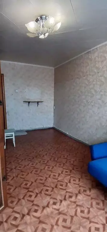 3-к кв. Ленинградская область, Коммунар Гатчинский район, Школьная ... - Фото 0