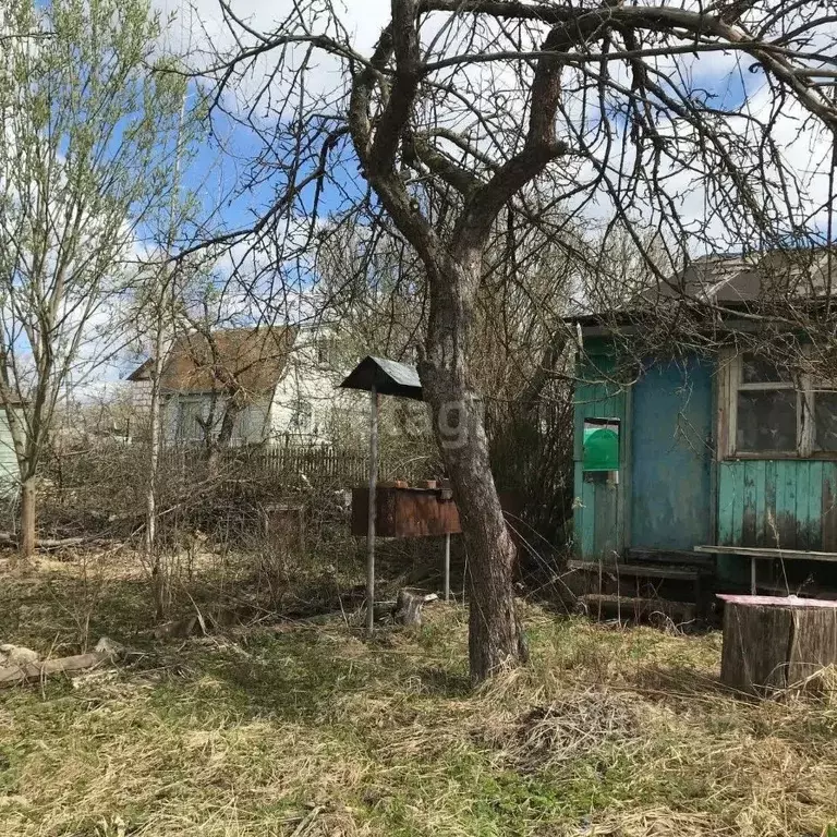 Дом в Калужская область, Калуга Автомобилист СНТ, ул. Фиалка (20 м) - Фото 0