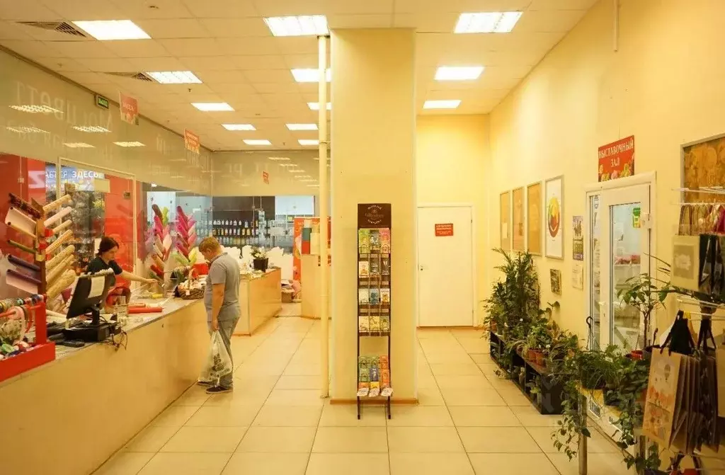 Торговая площадь в Москва Снежная ул., 26 (174 м) - Фото 2