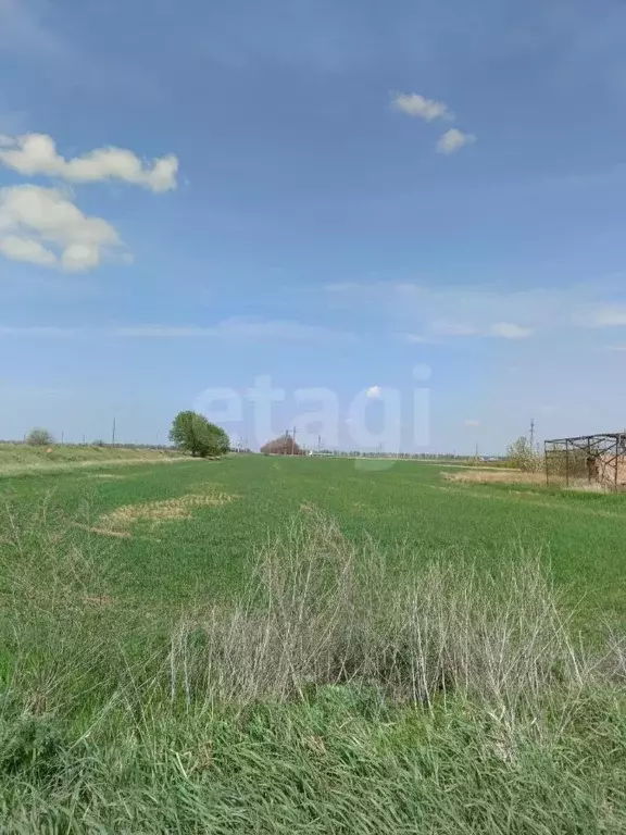 Участок в Ростовская область, Неклиновский район, Поляковское с/пос, ... - Фото 1