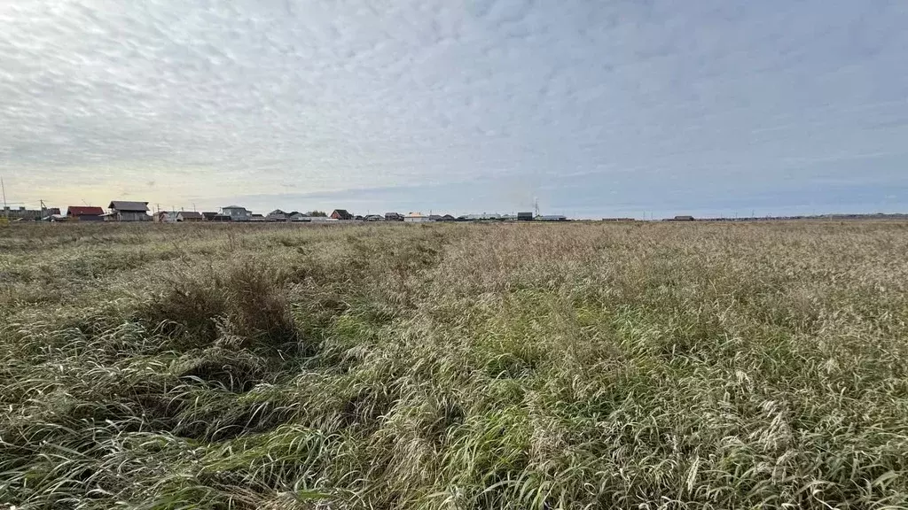 Участок в Омская область, Омский район, пос. Ростовка  (15.0 сот.) - Фото 2