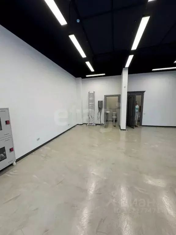 Помещение свободного назначения в Тюменская область, Тюмень ул. ... - Фото 1