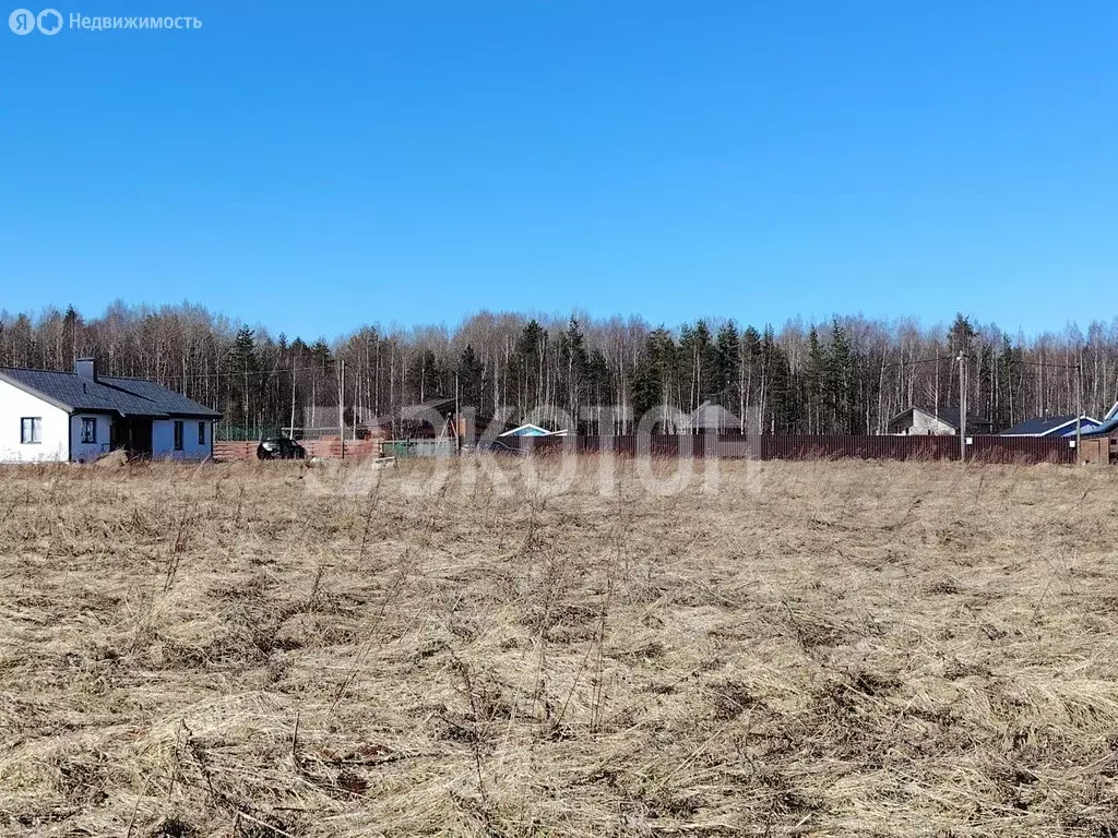Участок в Ломоносовский район, Низинское сельское поселение, деревня ... - Фото 1