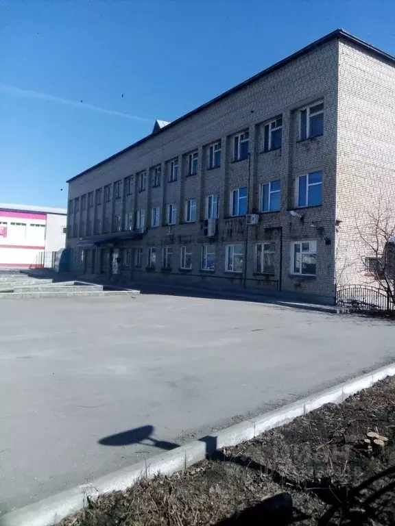 Помещение свободного назначения в Новосибирская область, с. Здвинск ... - Фото 1
