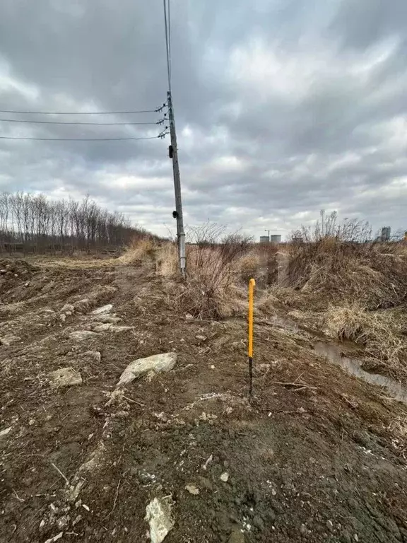 Участок в Сахалинская область, Анивский городской округ, с. ... - Фото 1