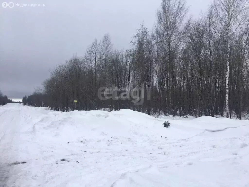 Участок в Череповецкий район, муниципальное образование Югское, ... - Фото 1