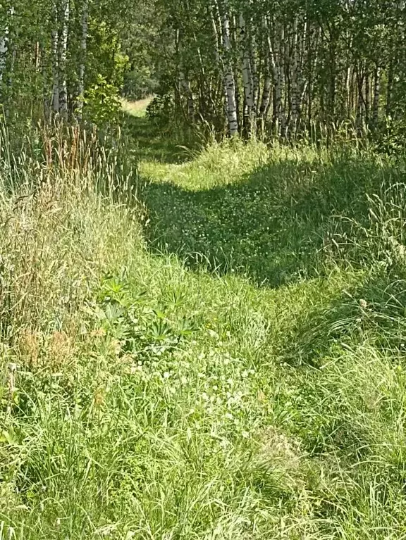 Участок в Московская область, Орехово-Зуевский городской округ, д. ... - Фото 0