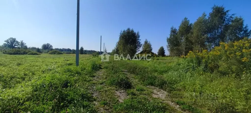 Участок в Калининградская область, Зеленоградский муниципальный округ, ... - Фото 1