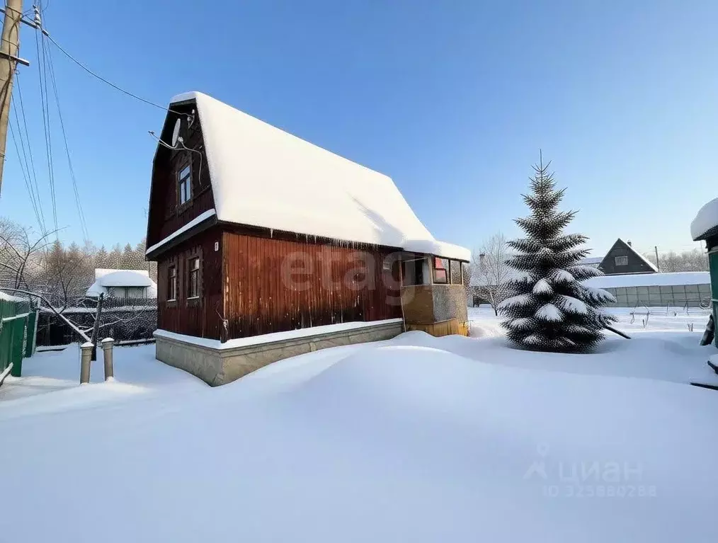 Дом в Владимирская область, Петушинский муниципальный округ, Мещера ... - Фото 2