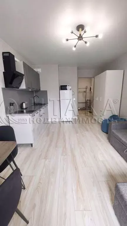 Студия Санкт-Петербург Комендантский просп., 55к1 (24.0 м) - Фото 0