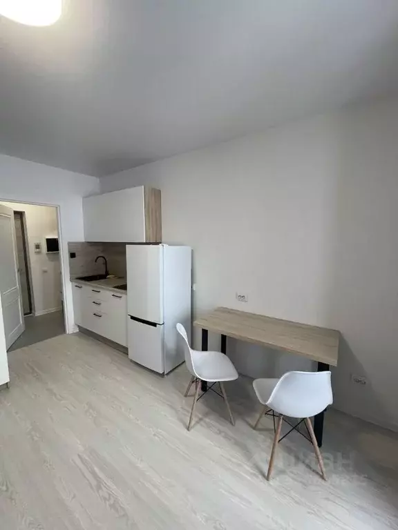 Студия Санкт-Петербург пос. Шушары, просп. Старорусский, 5к2 (20.3 м) - Фото 1