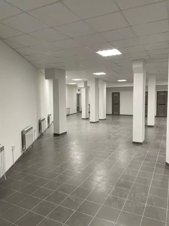 Помещение свободного назначения в Чувашия, Новочебоксарск Восточная ... - Фото 1