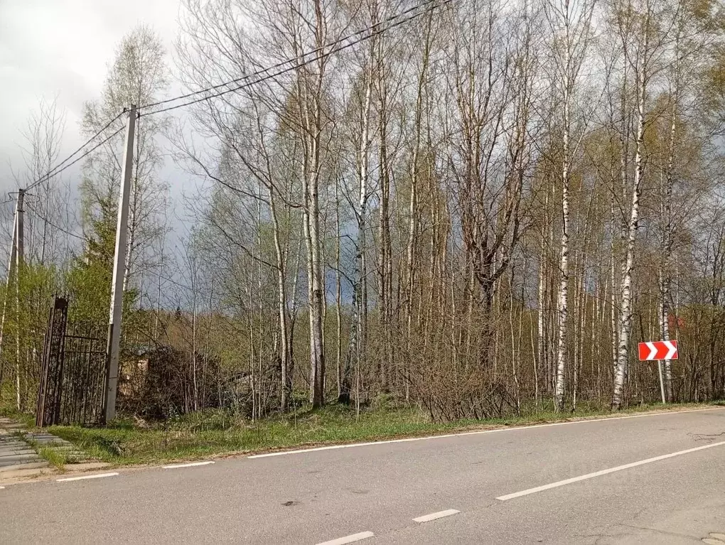 Участок в Московская область, Клин городской округ, д. Селевино ул. ... - Фото 1