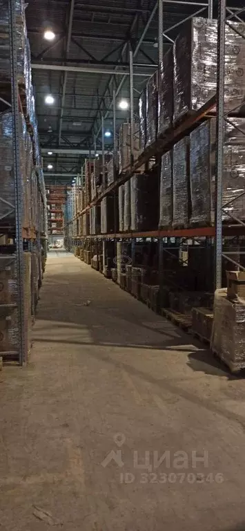 Склад в Московская область, Ленинский городской округ, Горки Ленинские ... - Фото 1