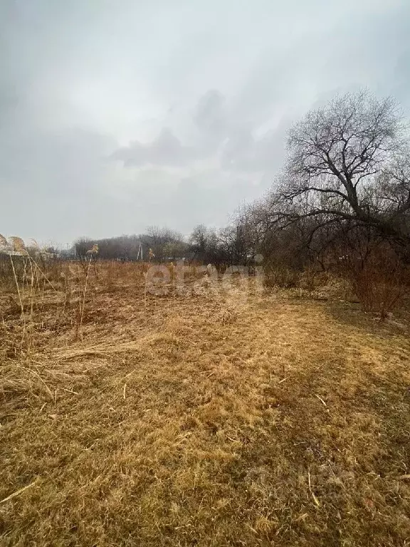 Участок в Амурская область, Благовещенск ул. Цветочная (8.7 сот.) - Фото 1