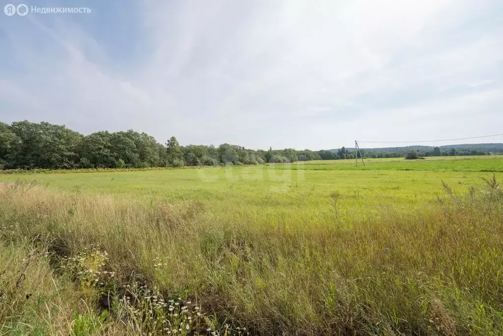 Участок в Пермский муниципальный округ, КП Мокино-3 (6.84 м) - Фото 1