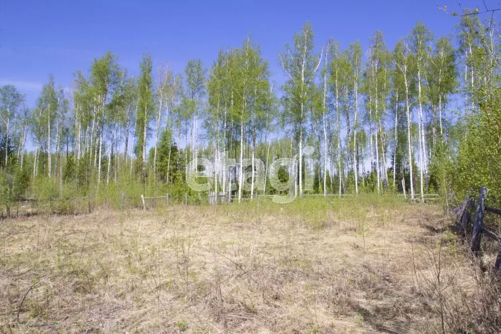 Участок в Ханты-Мансийский АО, Ханты-Мансийск Учитель-3 СОТ,  (14.0 ... - Фото 1