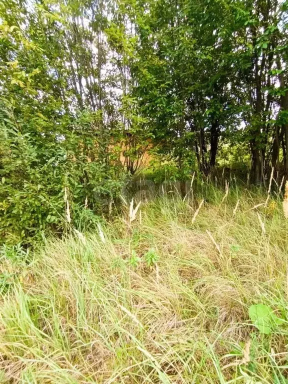 Участок в Московская область, Ленинский городской округ, Молоково пгт ... - Фото 2