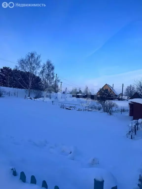 Участок в Бердск, садоводческое некоммерческое товарищество Радостное ... - Фото 2