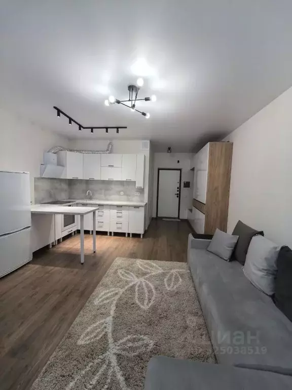 Студия Московская область, Люберцы ул. Юности, 11 (28.0 м) - Фото 1