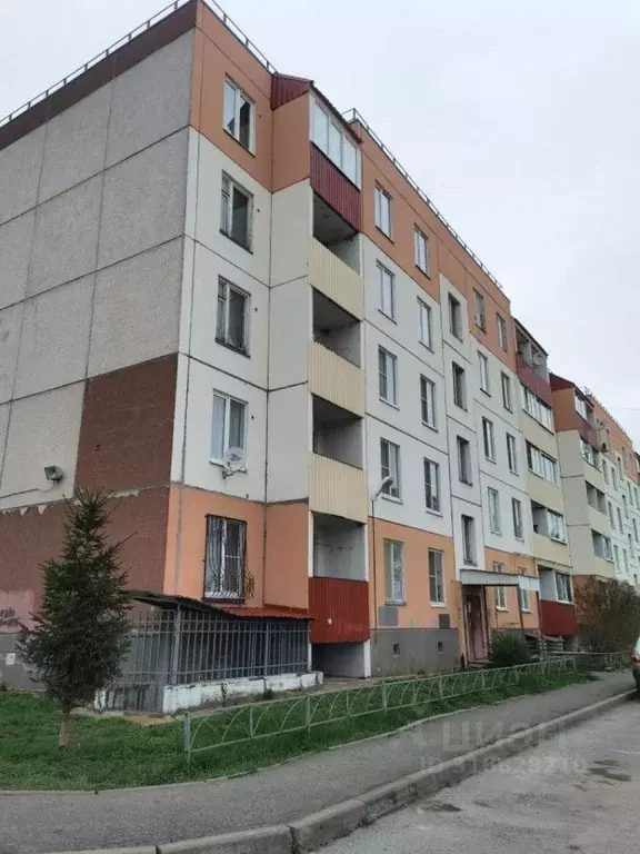2-к кв. Ленинградская область, Гатчинский район, пос. Новый Свет 33 ... - Фото 0