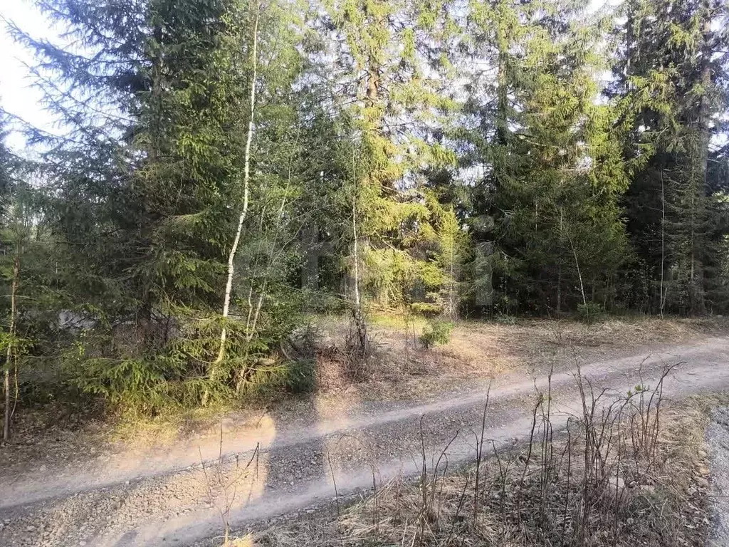 Участок в Свердловская область, Нижний Тагил муниципальный округ, пос. ... - Фото 2