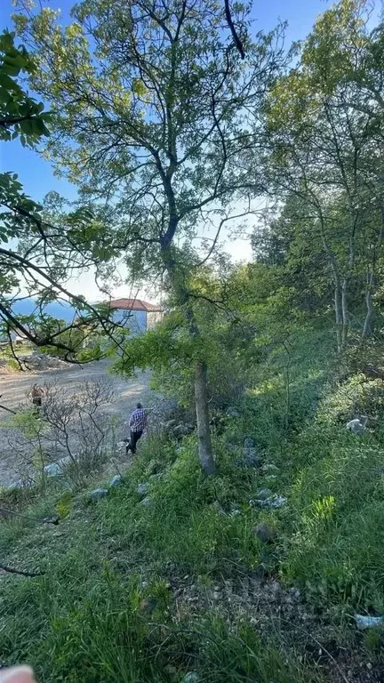 Участок в Крым, Ялта городской округ, Никита пгт ул. Имени Героя ... - Фото 0