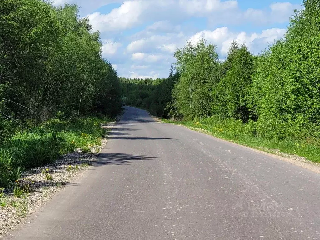 Участок в Ярославская область, Ярославский муниципальный округ, д. ... - Фото 1