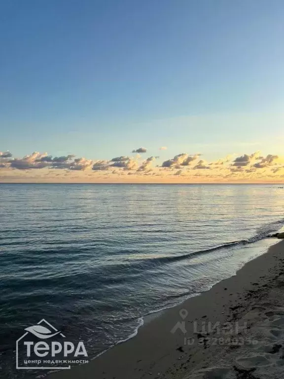 Участок в Крым, Раздольненский район, Чернышевское с/пос, с. Портовое ... - Фото 1