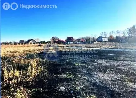 Участок в Тюменский район, деревня Насекина (9.6 м) - Фото 1