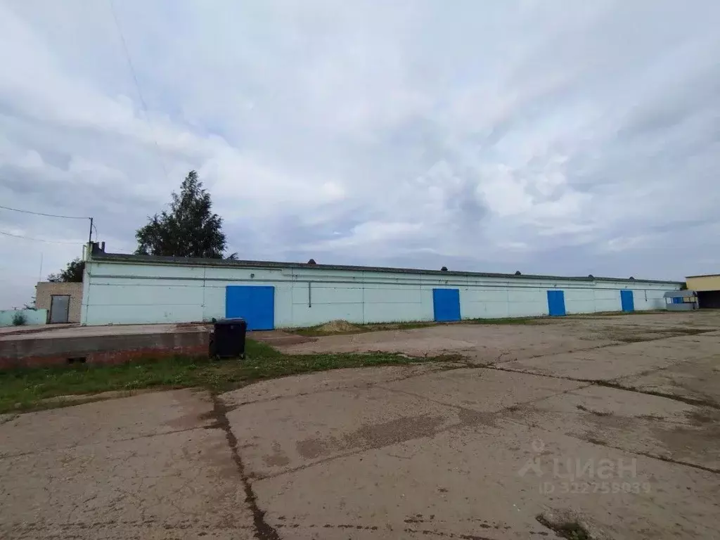 Производственное помещение в Татарстан, Елабуга Окружное ш., 5 (1600 ... - Фото 2