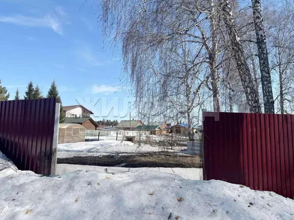 Участок в Новосибирская область, Новосибирский район, с. Боровое ул. ... - Фото 1