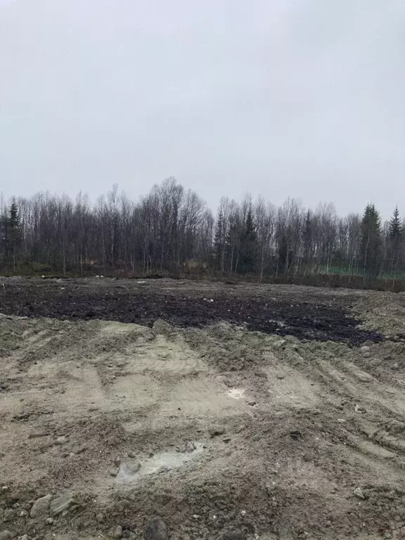 Участок в Мурманская область, Кольский район, Город Кола городское ... - Фото 2