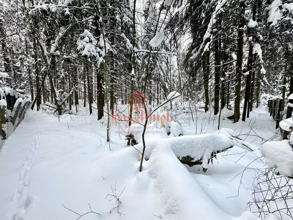 Участок в посёлок Трудовая, посёлок Трудовая Южная (5.4 м) - Фото 1