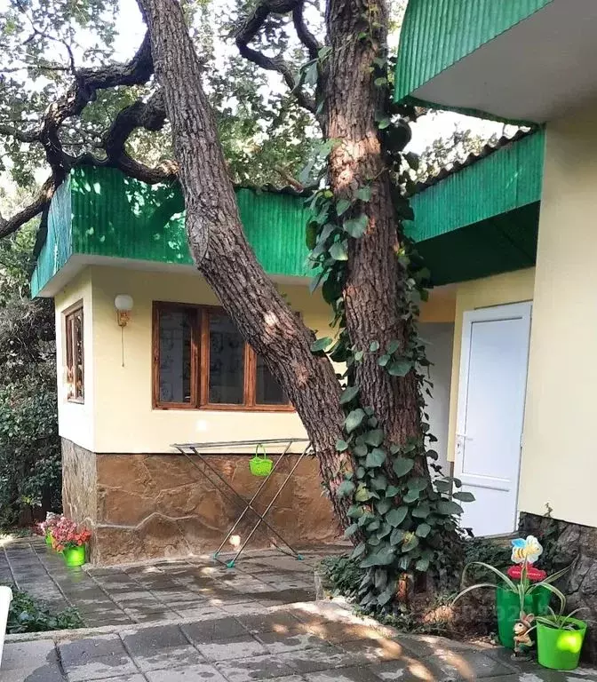 Дом в Крым, Судак городской округ, Новый Свет пгт ул. Шаляпина, 1Д (35 ... - Фото 0
