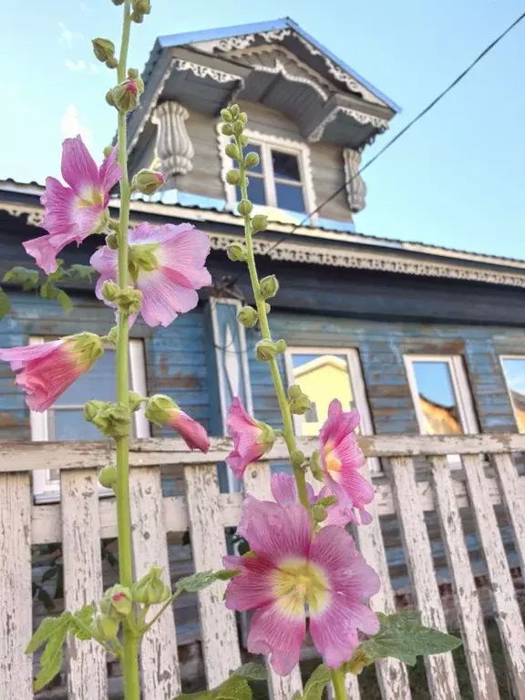 Дом в Нижегородская область, Бор муниципальный округ, пос. Неклюдово, ... - Фото 1