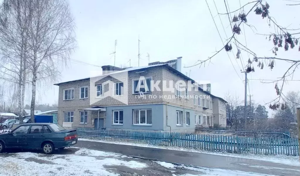 1-к кв. Ивановская область, Ивановский район, с. Ново-Талицы ул. ... - Фото 0
