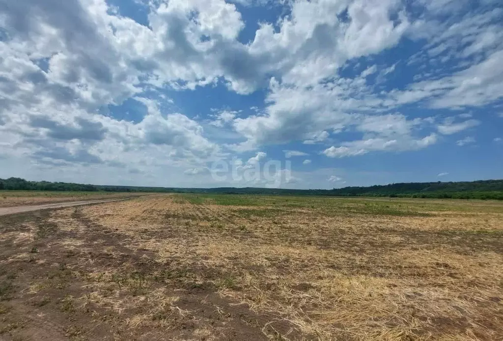 Участок в Воронежская область, Воронеж Тенистая ул. (13100.0 сот.) - Фото 0