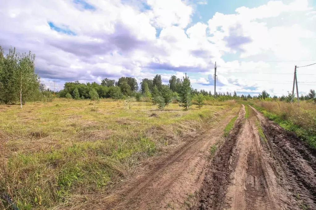 Участок в Алтайский край, Первомайский район, пос. Новый ул. ... - Фото 1