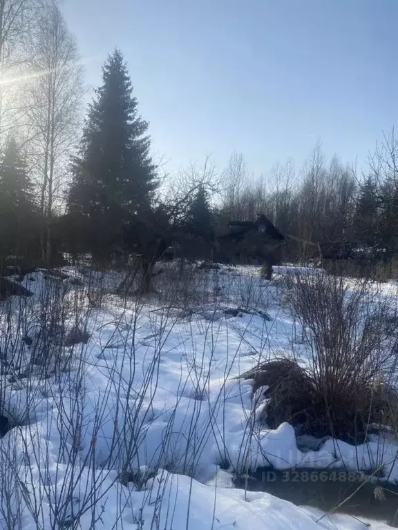 Участок в Ленинградская область, Тосненский район, Лисинское с/пос, ... - Фото 1