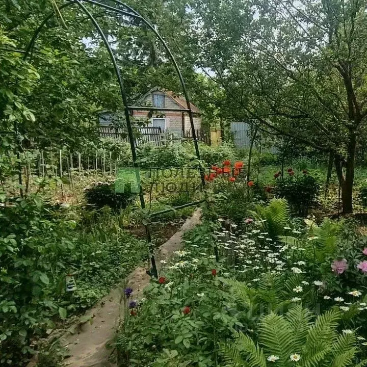 Дом в Саратовская область, Саратов Зональный мкр, 104 (52 м) - Фото 1