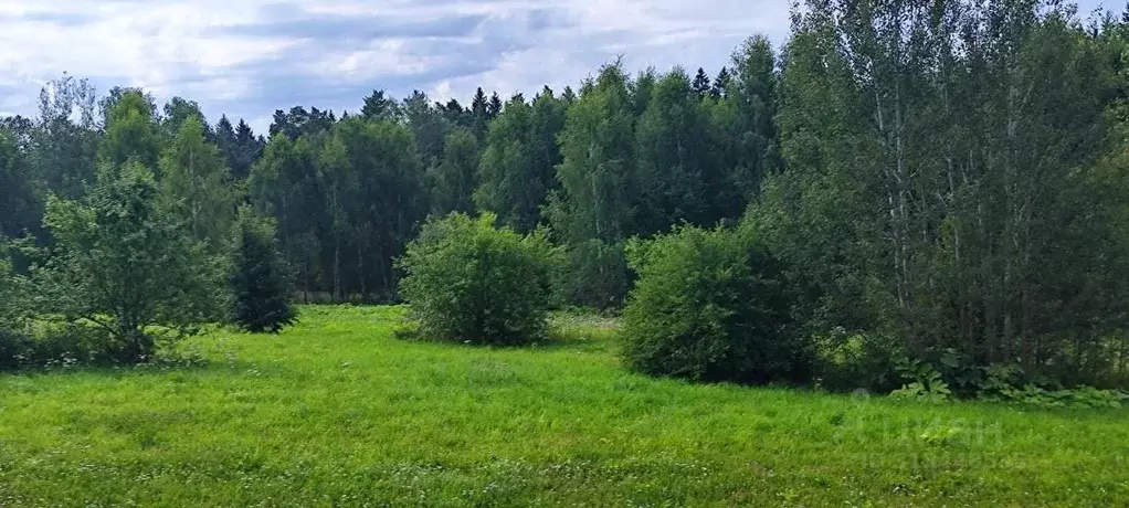 Участок в Московская область, Солнечногорск городской округ, д. Мостки ... - Фото 0