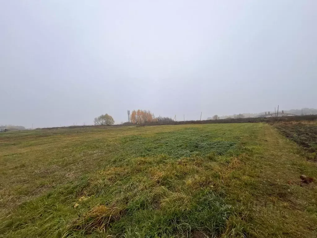 Участок в Рязанская область, Рыбновский район, Кузьминское с/пос, д. ... - Фото 1