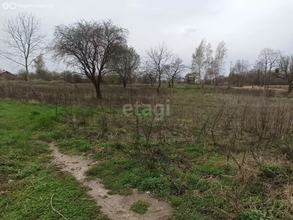 Участок в Калининградская область, посёлок городского типа Янтарный ... - Фото 0