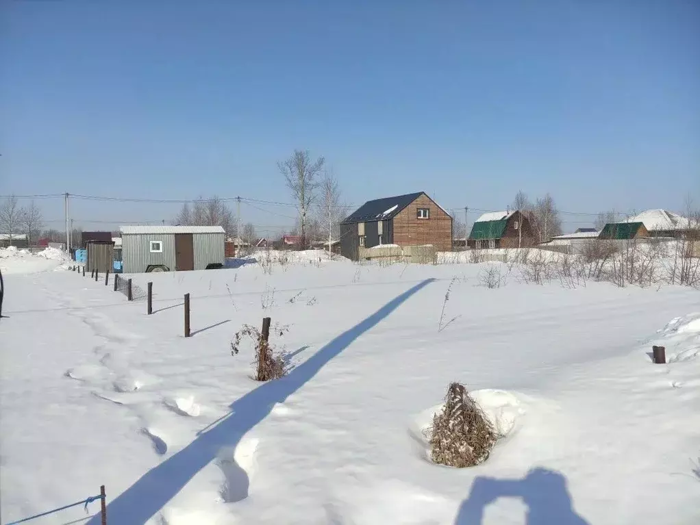 Участок в Новосибирская область, Новосибирский район, Кубовинский ... - Фото 2