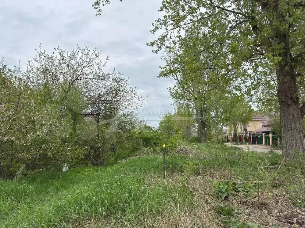 Участок 6,3 сот. (ИЖС) - Фото 1