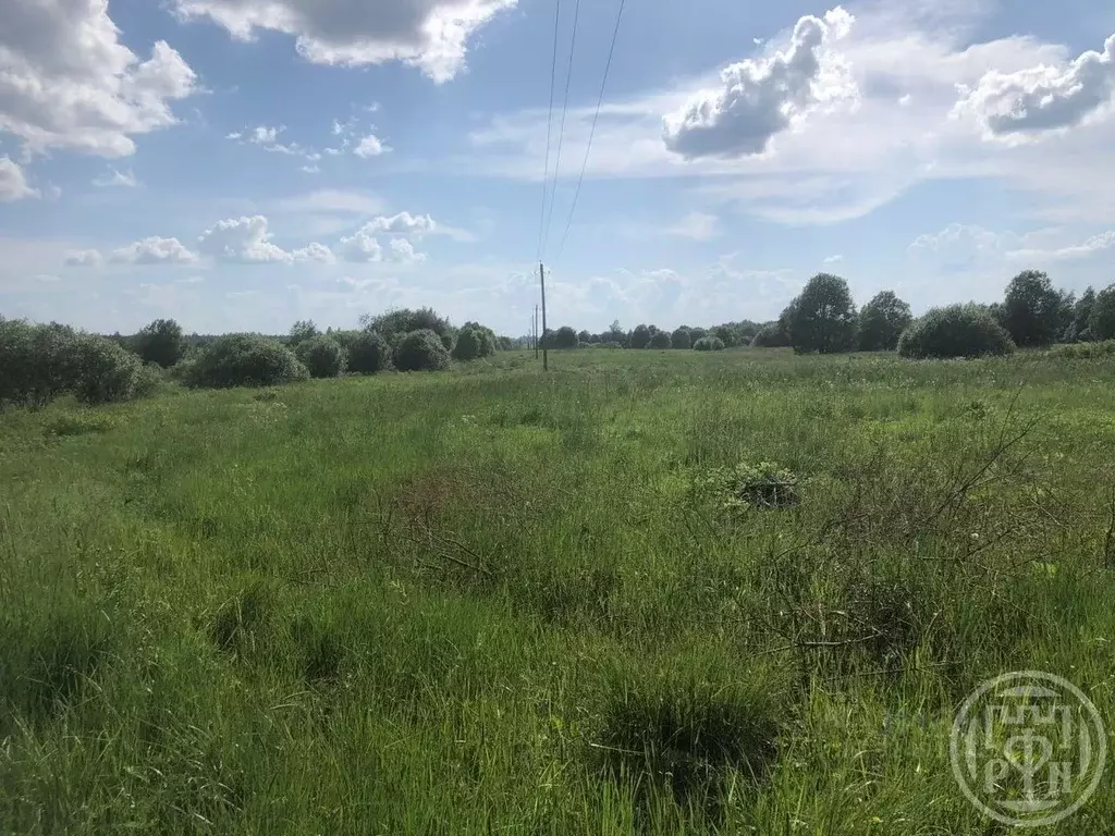 Участок в Ленинградская область, Кингисеппский район, Опольевское ... - Фото 2