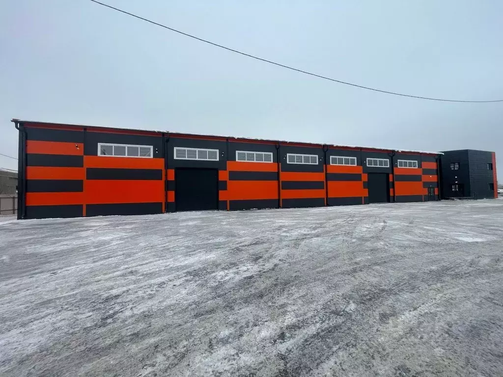 Помещение свободного назначения в Курганская область, Курган ул. ... - Фото 0
