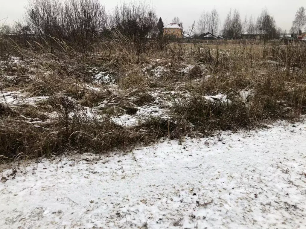 Участок в Московская область, Орехово-Зуевский городской округ, д. ... - Фото 0